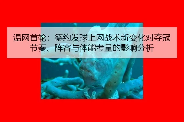 wen-wang-shou-lun-de-yue-fa-qiu-shang-wang-zhan-shu-xin-bian-hua-dui-duo-guan-jie-zou-zhen-rong-yu-ti-neng-kao-liang-de-3-894.jpg